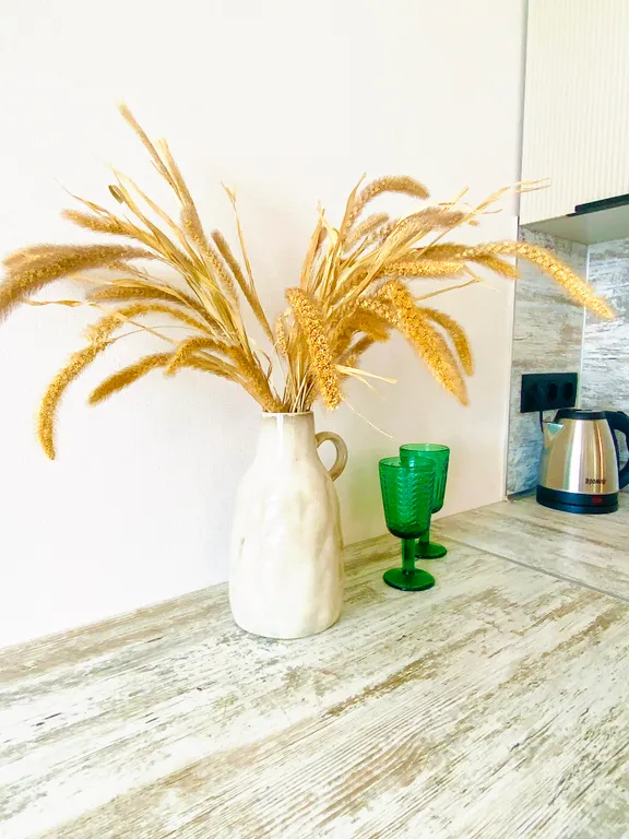 Новая видовая студия