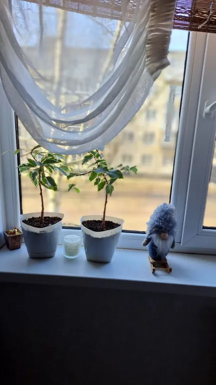 Подходящая квартира в центре