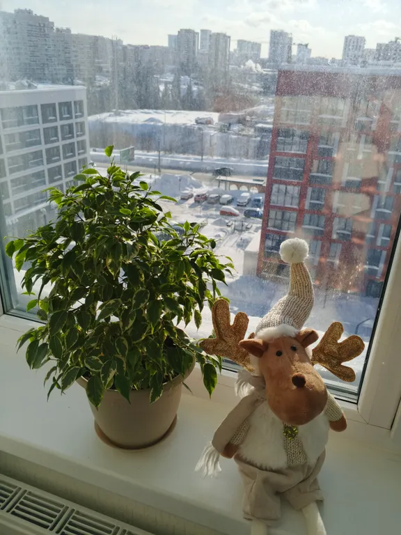 Уютная квартира — аренда посуточно в Ижевск