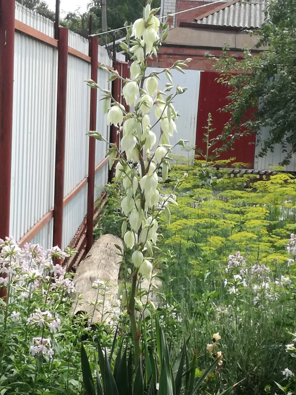 Летний 2х комнатный дом на семью