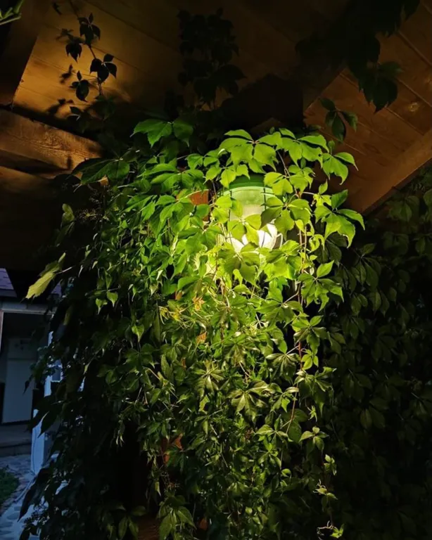 4-комнатный Дом