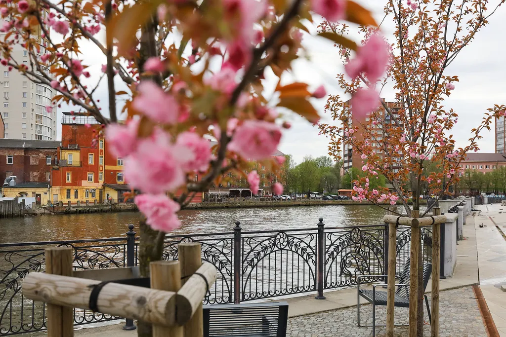 Квартира в Рыбной деревне