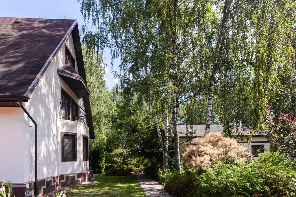 Загородный дом с бассейном, сауной и собственным лесом на участке