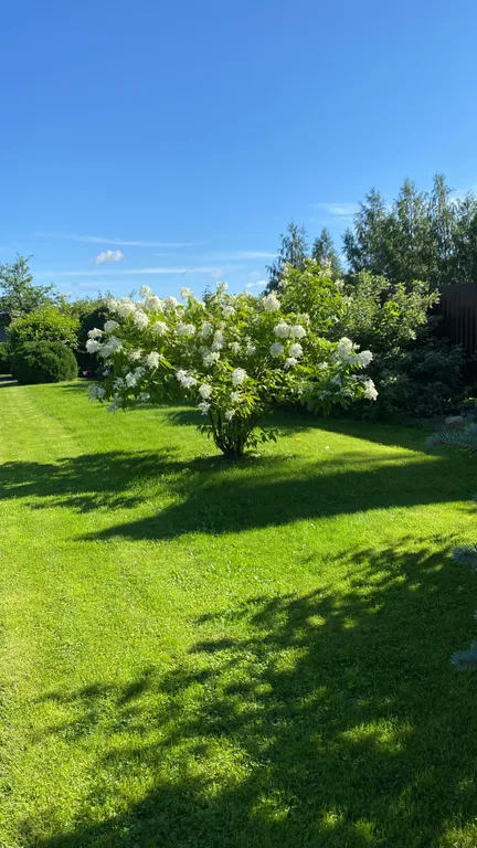 Дом для отдыха от городской суеты