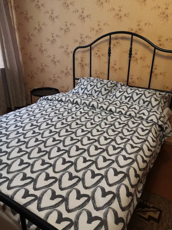 1-ая квартира в центре города