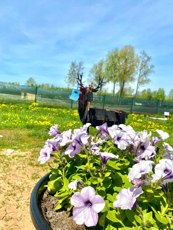 Сапфировый дом для отдыха