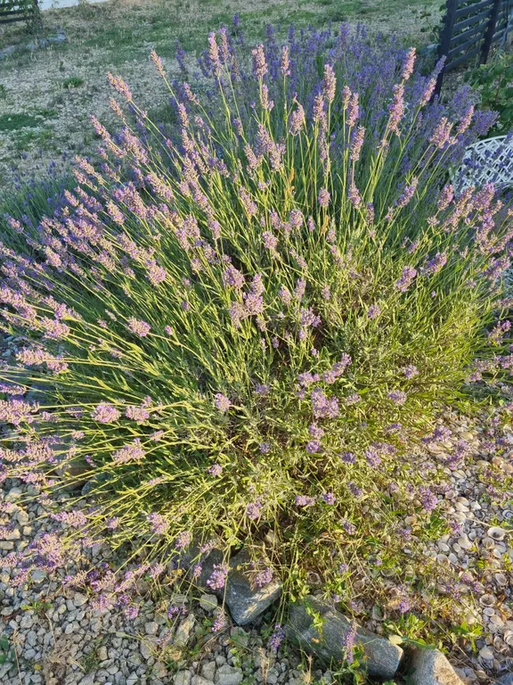 Квартира Двухкомнатные апартаменты с терассой и видом на море — Кучугуры