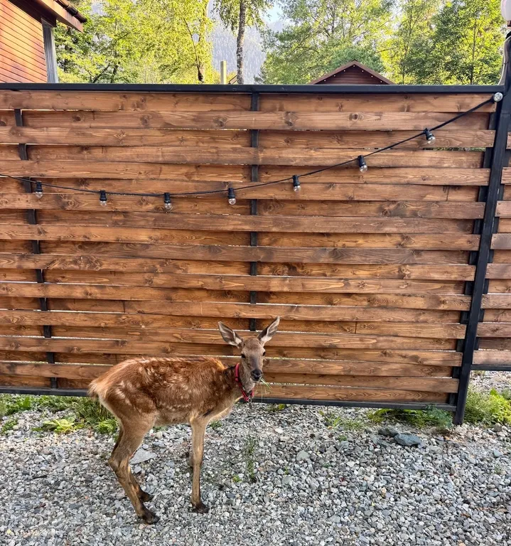 Barnhouse с балконом и видом на горы