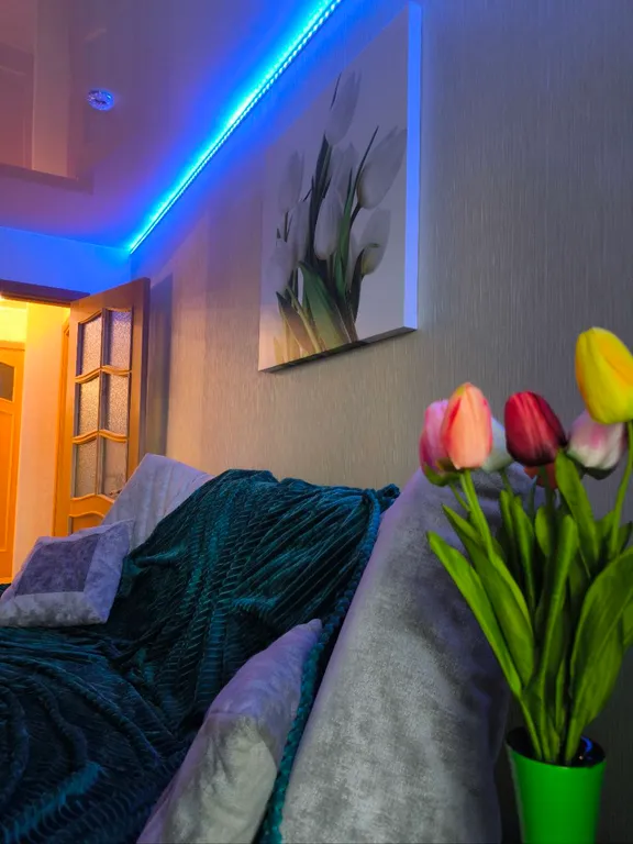 Уютная квартира на Камчатке в Елизово