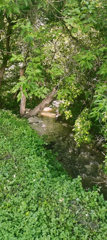 Коттедж в курортной зоне с видом на горы