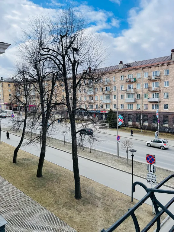 Евродвушка в центре