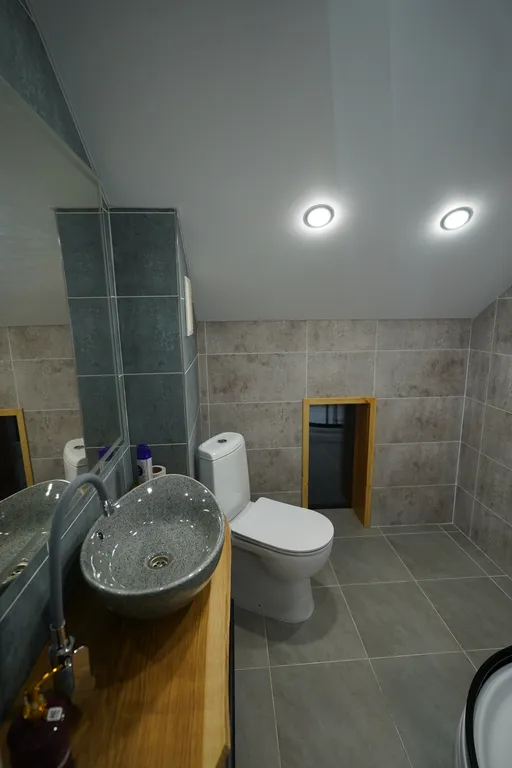 Современный дом у леса