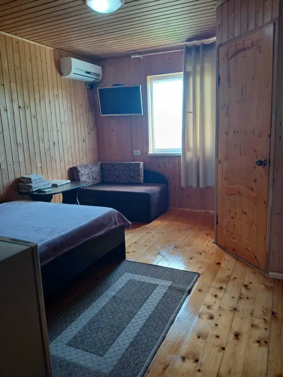 Студия с террасой