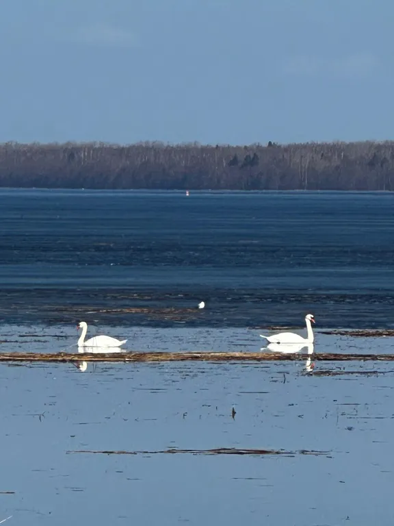 Коттедж Домик на море, на первой линии — Приморск