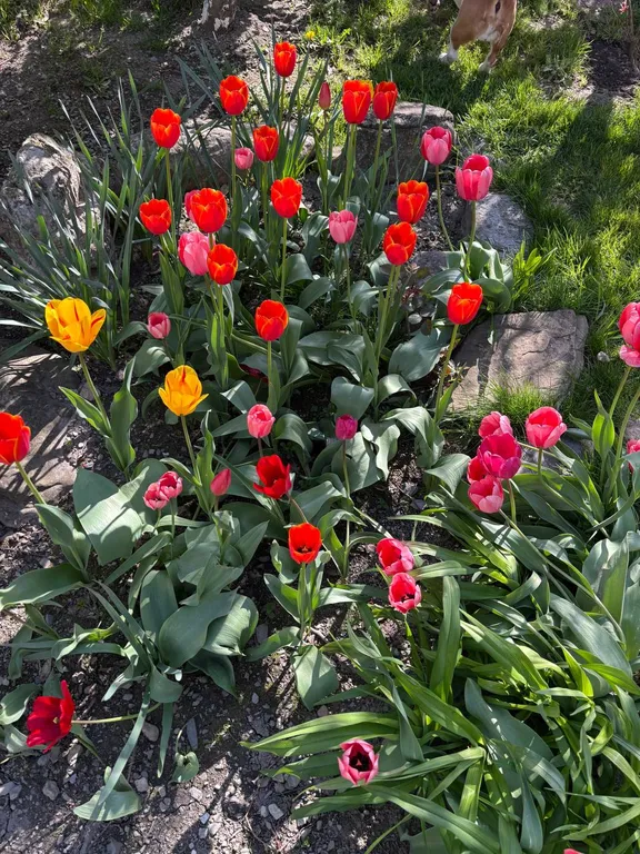 Гостевой дом в сердце Красной поляны