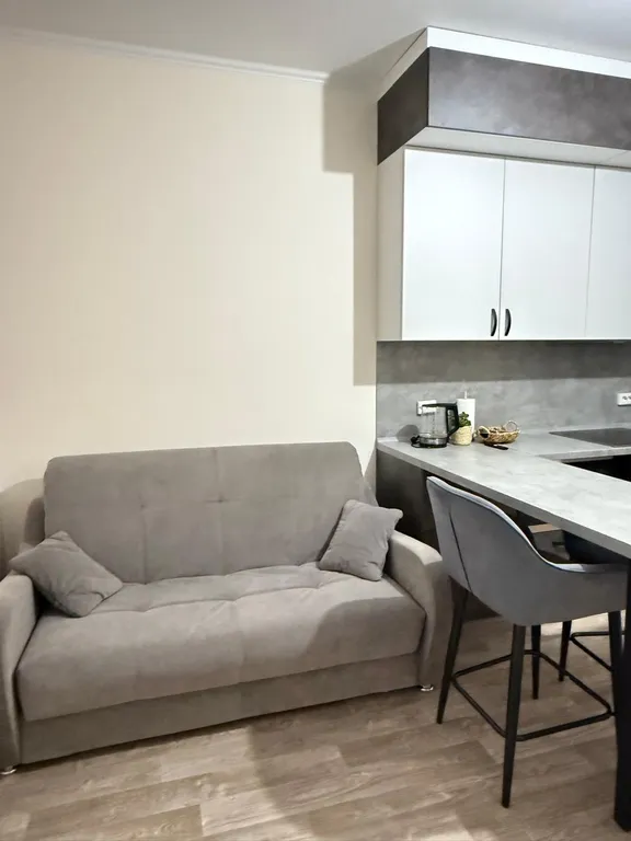 1-комнатная квартира в центре города рядом с парком