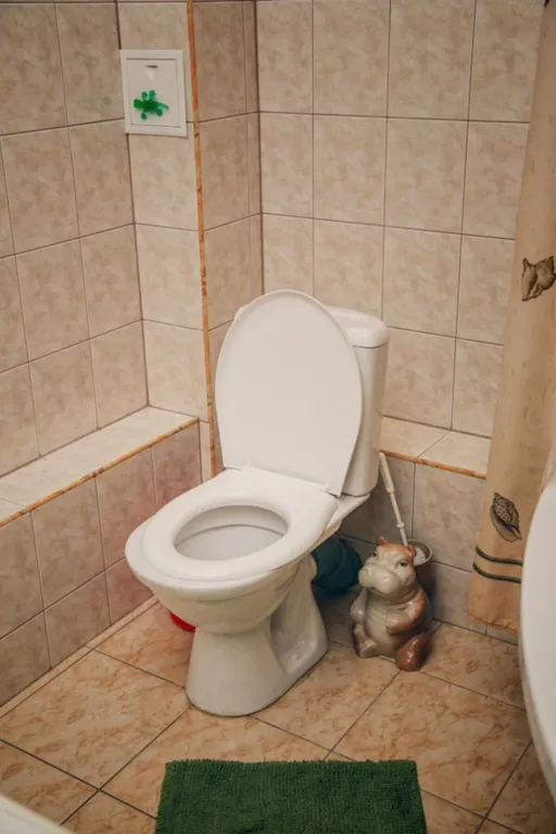 Бoльшaя однокoмнатная квартиpа