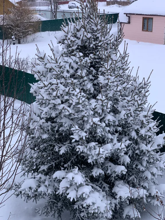 Уютный, теплый дом в живописном месте, дсонт Бердь