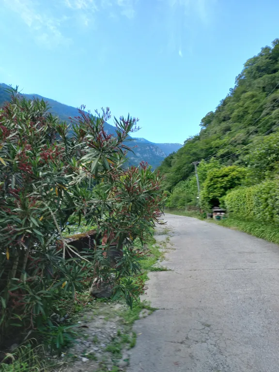 Коттедж Эко домик с парковкой рядом с горной рекой — Гагра