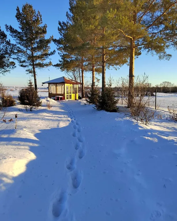 Усадьба в Соколова