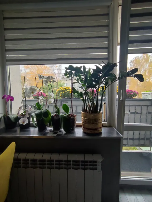 Уютная комната ,в 3-х комнатной квартире в центре города