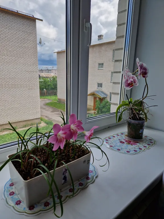 Благоустроенная квартира