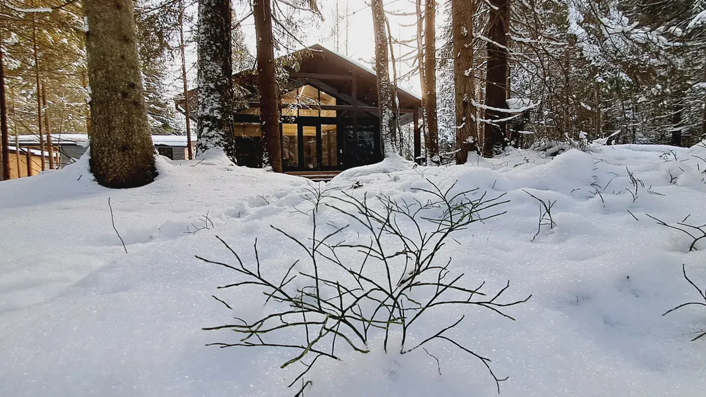 Уютный дом в еловом лесу