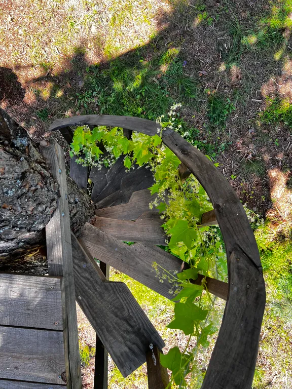 Уютный домик с сауной у леса