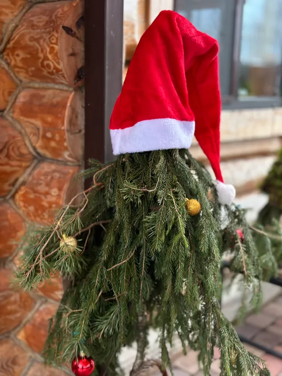 Коттедж Дом у леса — Порхово