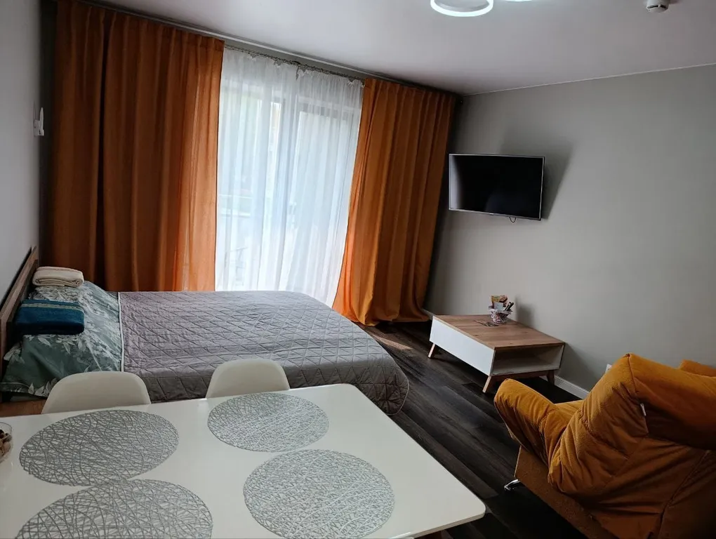 Квартира Квартира Уютная студия — Светлогорск