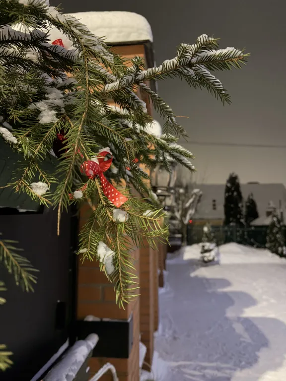 Дом у парка Берендеевка