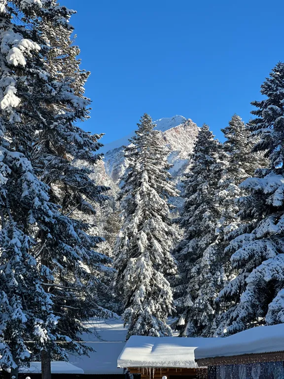 Шале 1 с видом на горы и лес