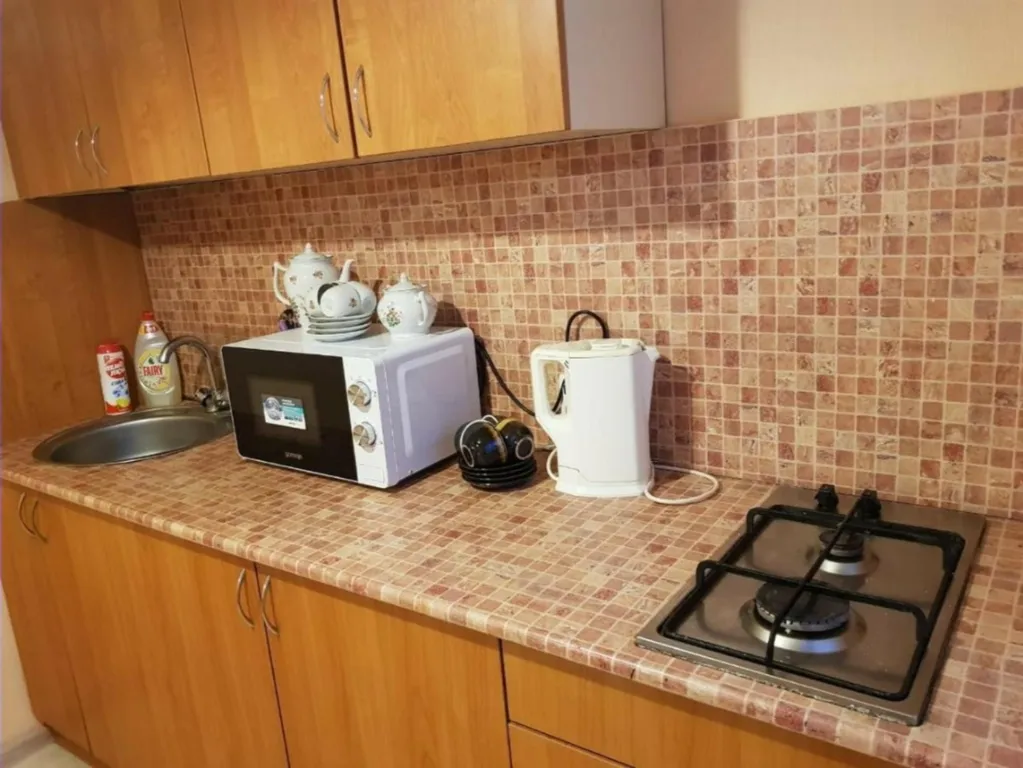 Bon Voyage уютная квартира в центре Петрозаводска — аренда посуточно в Петрозаводск