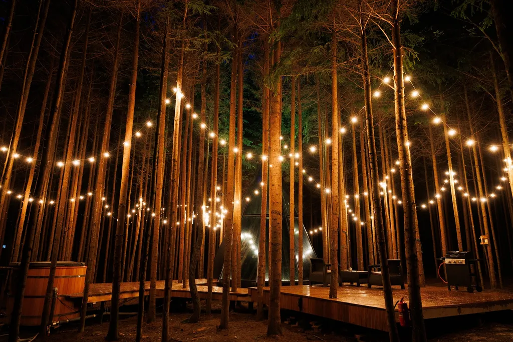 Дом-пирамида с 360 панорамой на лес