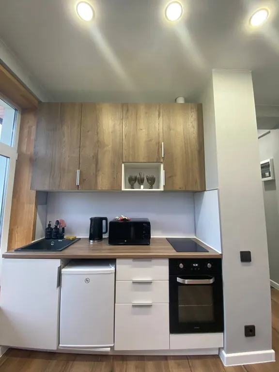 Двухуровневые апартаменты рядом с Цирком