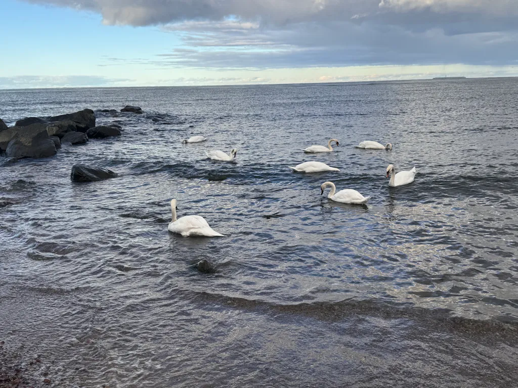 Квартира у моря