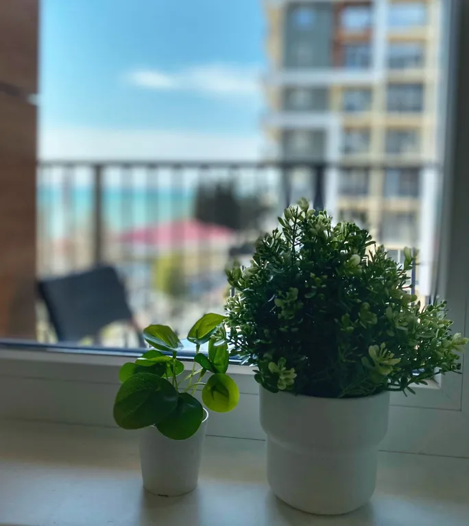 Квартира с видом на море