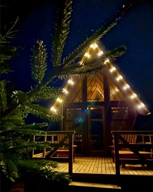 Коттедж Коттедж Шале у Леса — Луга