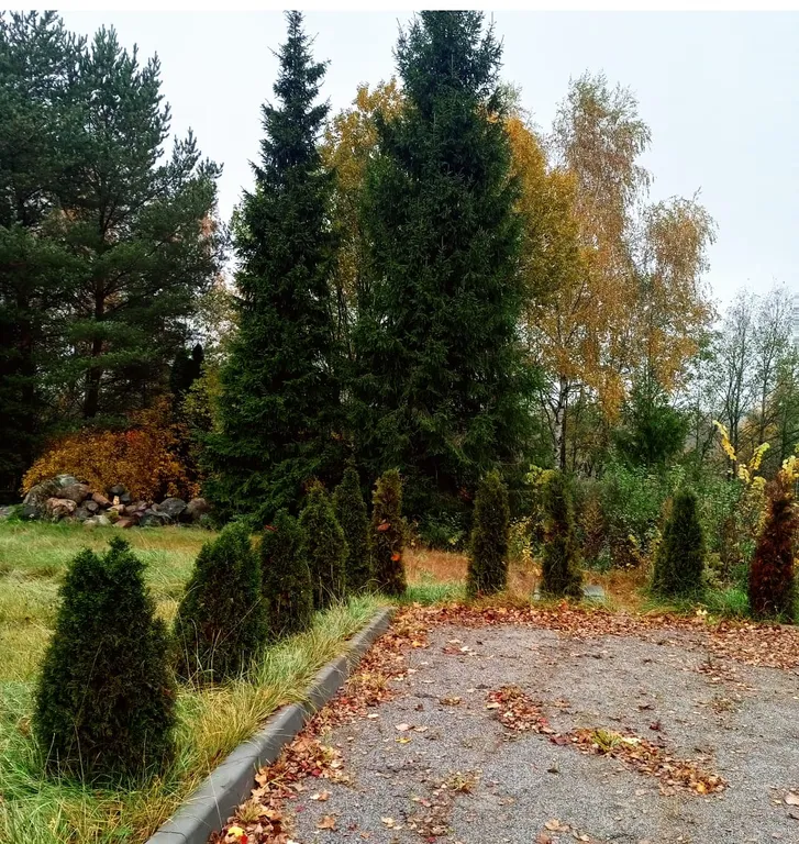 Квартира Комната — Подолино