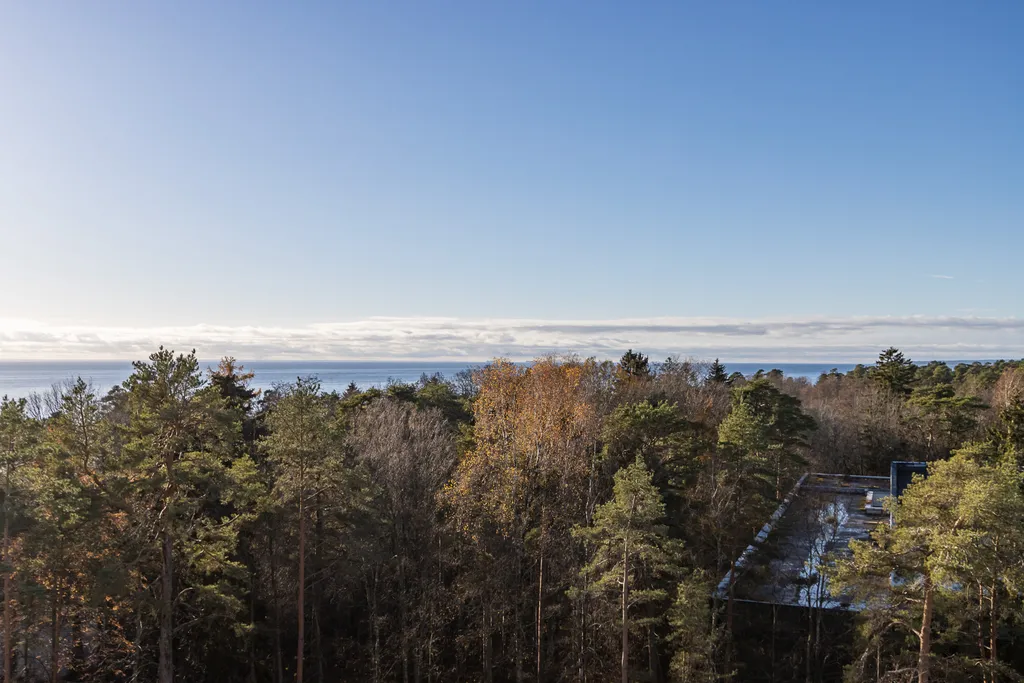 Видовая студия на бассейн и лес 811