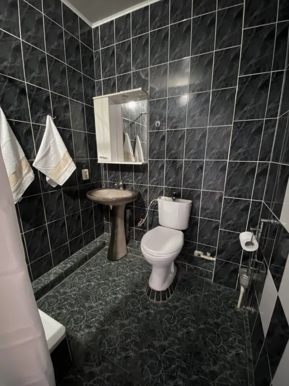 Апартаменты двухкомнатные с кухней