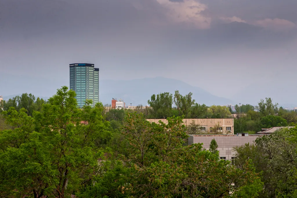 Квартира Уютная студия с видом на горы — аренда посуточно в Алматы