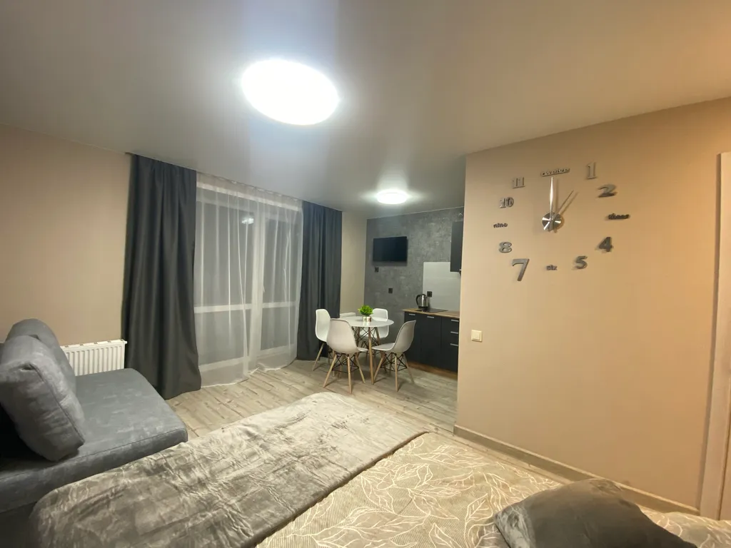 Студия у старого моста в новом доме