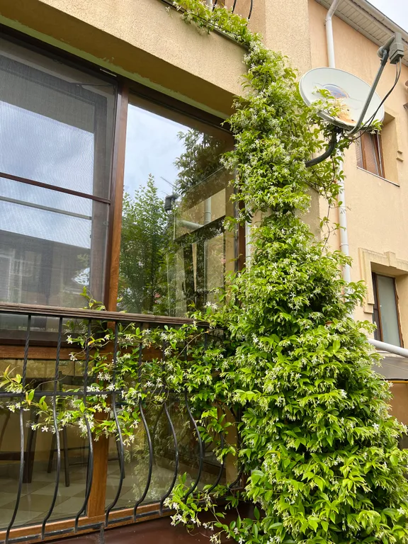 Трехкомнатный апартамент у моря  в КК Орхидея парк