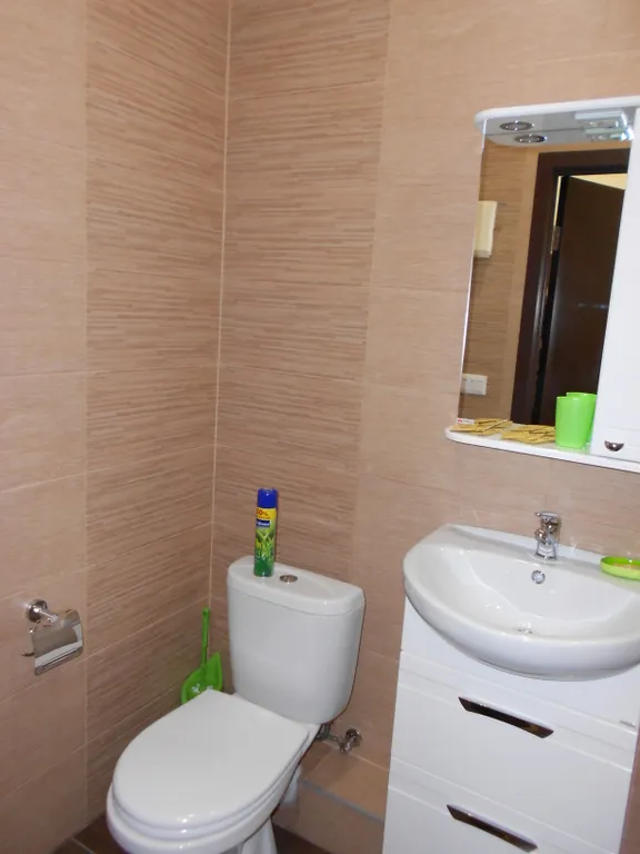 Квартира 1-комнатная Квартира — Екатеринбург