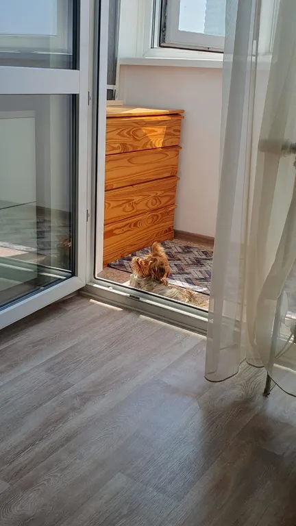 Апартаменты с видом на море