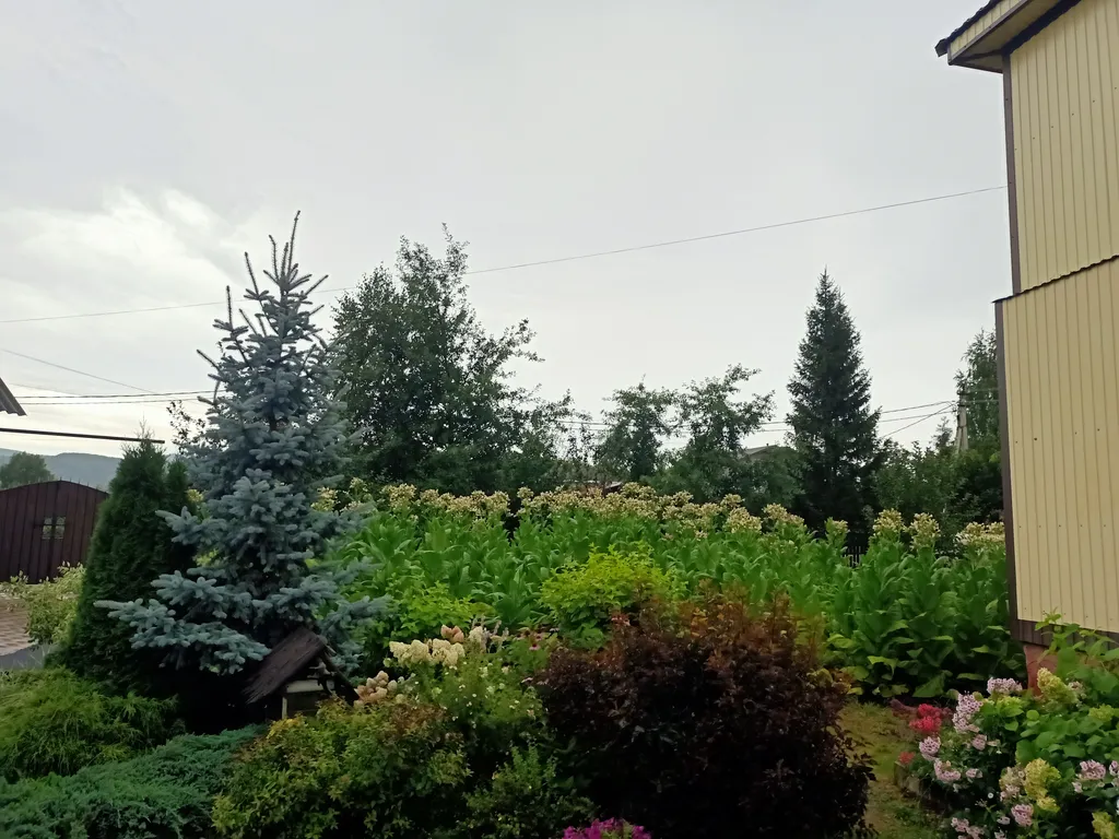 Уютный гостевой эко-дом Sova