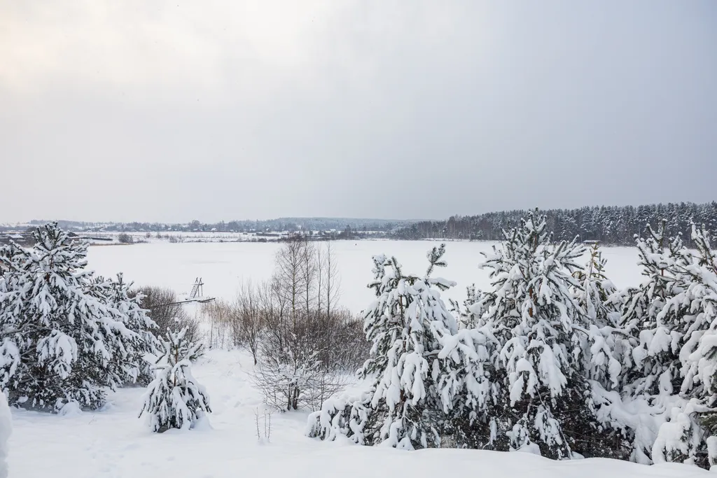 Гостевой дом на лесном озере