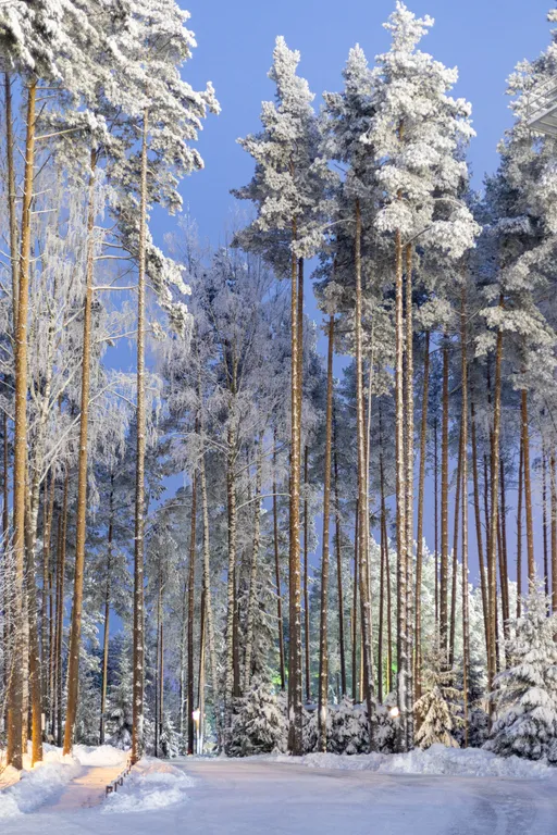 Апартамент с двумя спальнями и большим балконом у курорта