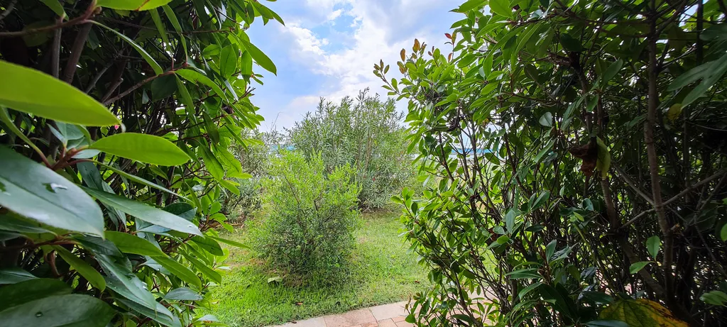 Квартира с выходом в сад -  Seagate